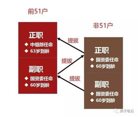 你不知道的央企級別 揭開體制內的神秘面具與企業資產管理